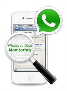 Whatsapp Spy Last Online