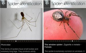 Spy Phone Apps Download