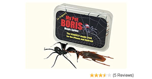 Best Android Spy App 2019