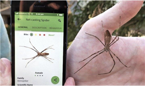 Best Spy Camera With App