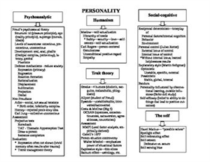 Spy Tec Sti Gl300 App