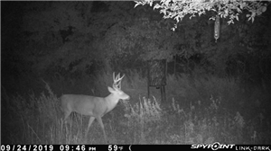 Spying App for Phone