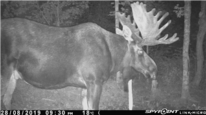 Can Facebook Messenger App Spy on You