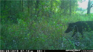 Spy App for Android Phones