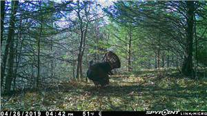 App to Install on Phone to Spy