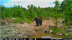 App to Install on Iphone to Spy