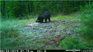 Remove Spy App From Android