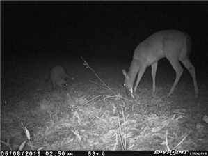 Is There an App to Spy on Someones Instagram