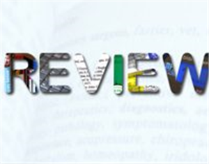 Install Spy App via Link