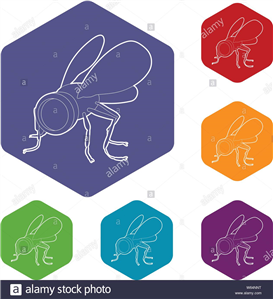 Best Spy App for Child's Phone