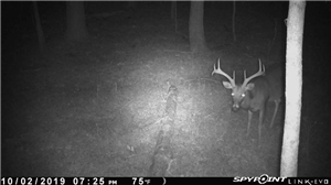 Snapchat Spy App Without Jailbreak