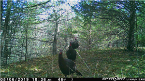 Best Hidden Spy App for Android