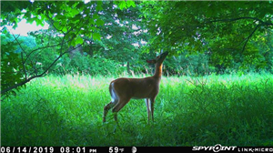 Whatsapp Spy App Without Rooting